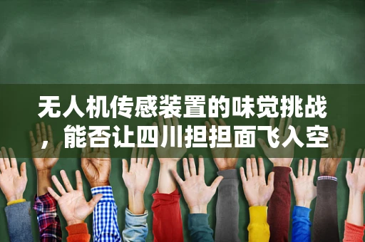无人机传感装置的味觉挑战，能否让四川担担面飞入空中？