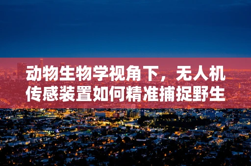 动物生物学视角下，无人机传感装置如何精准捕捉野生动物活动？