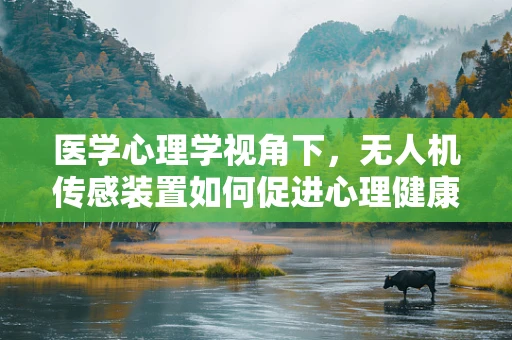 医学心理学视角下，无人机传感装置如何促进心理健康监测的精准性？