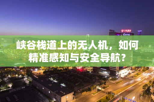 峡谷栈道上的无人机，如何精准感知与安全导航？