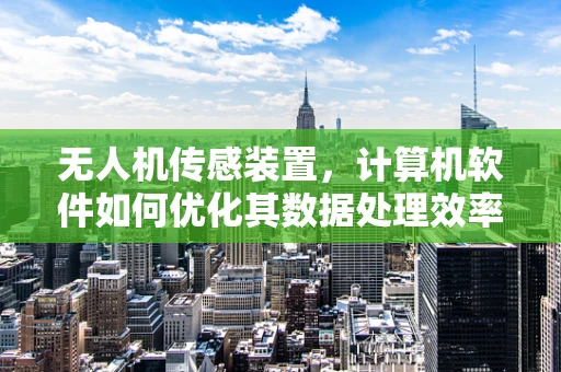无人机传感装置，计算机软件如何优化其数据处理效率？