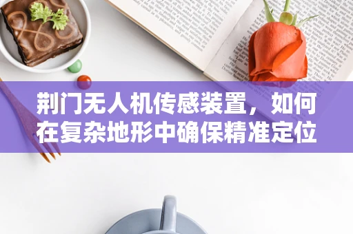 荆门无人机传感装置，如何在复杂地形中确保精准定位？