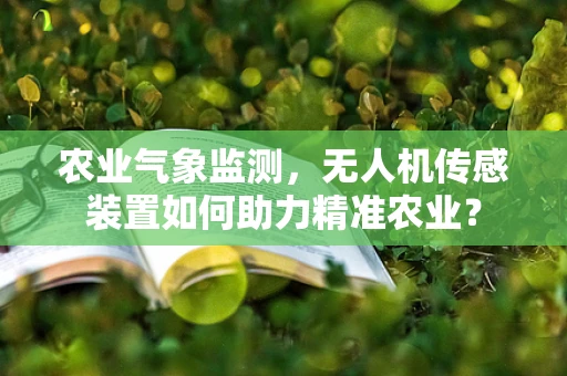 农业气象监测，无人机传感装置如何助力精准农业？