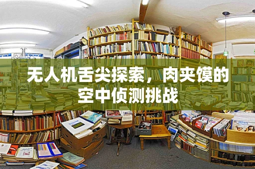 无人机舌尖探索，肉夹馍的空中侦测挑战